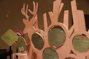 Exposition «Panaches : caribous et autres cervidés du Canada»