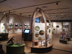 Exposition « Prenons tous place / Mziwi Abida ».